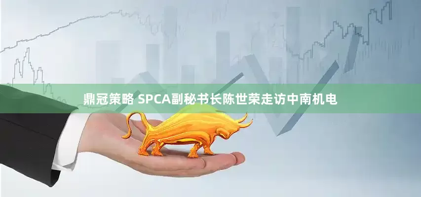 鼎冠策略 SPCA副秘书长陈世荣走访中南机电